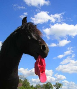 Obrazek